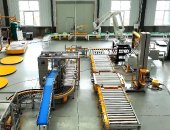 自動(dòng)裝箱機(jī)器人碼垛包裝線